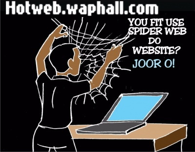 Spider-web-for-Website hotweb.waphall funny pix 1